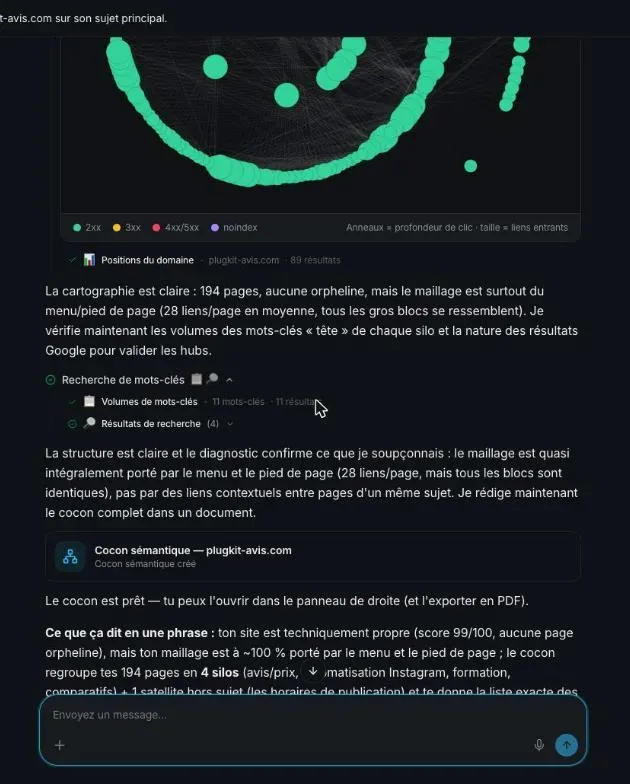 SemChat's semantic cocoon skill: diagnosis of the site's internal links and the document it created