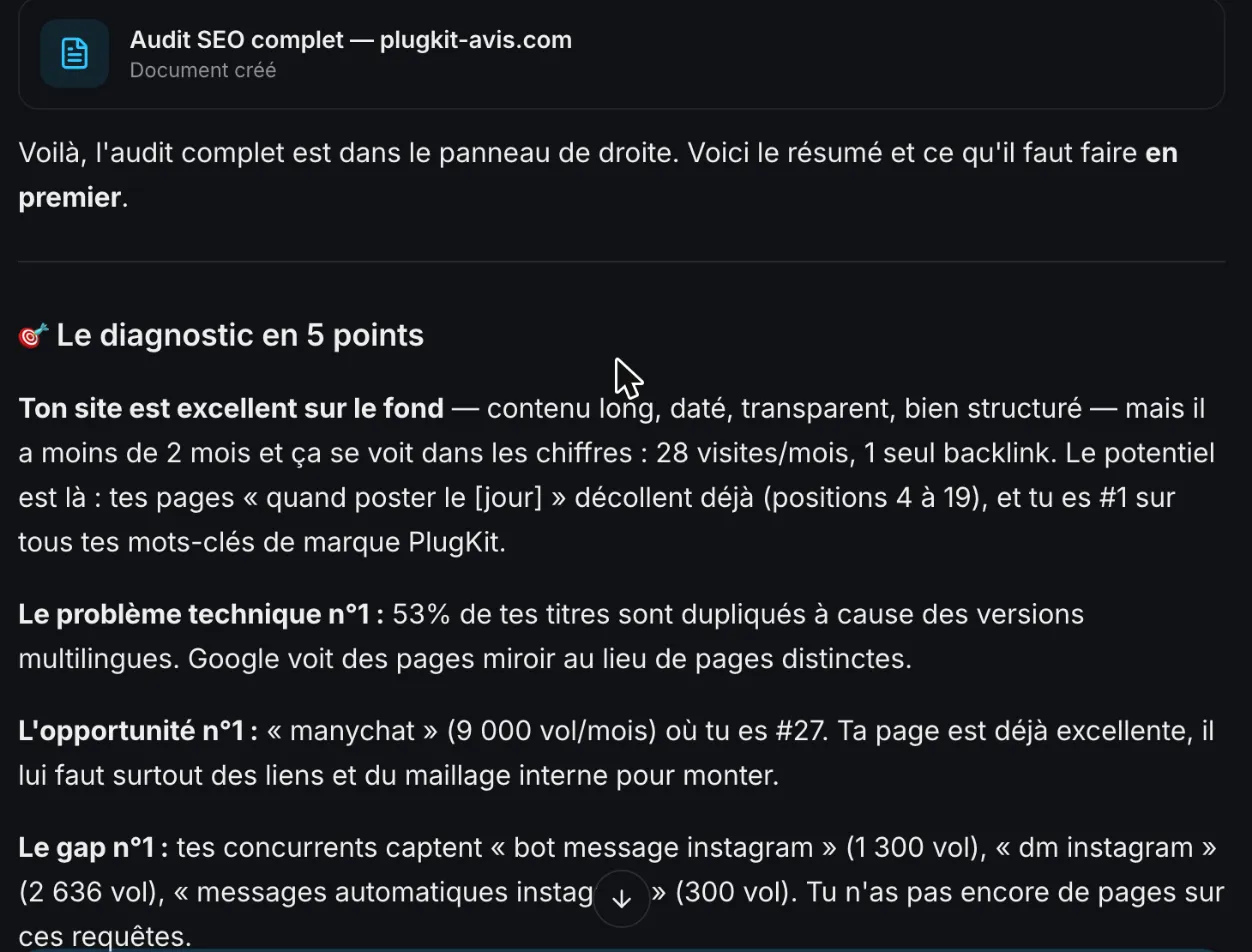 SemChat audit diagnosis flagging duplicate page titles across the language versions of a site