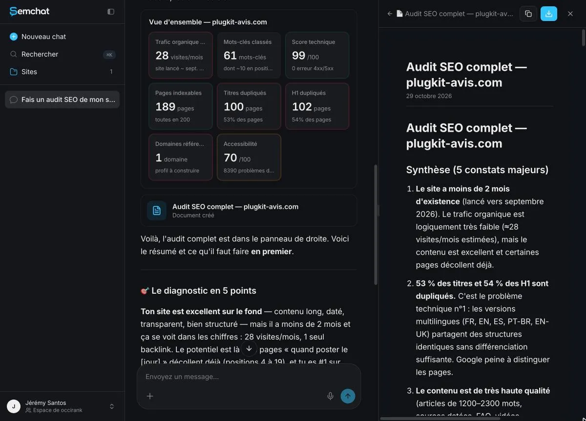 Full audit document of plugkit-avis.com opening on a short summary of findings