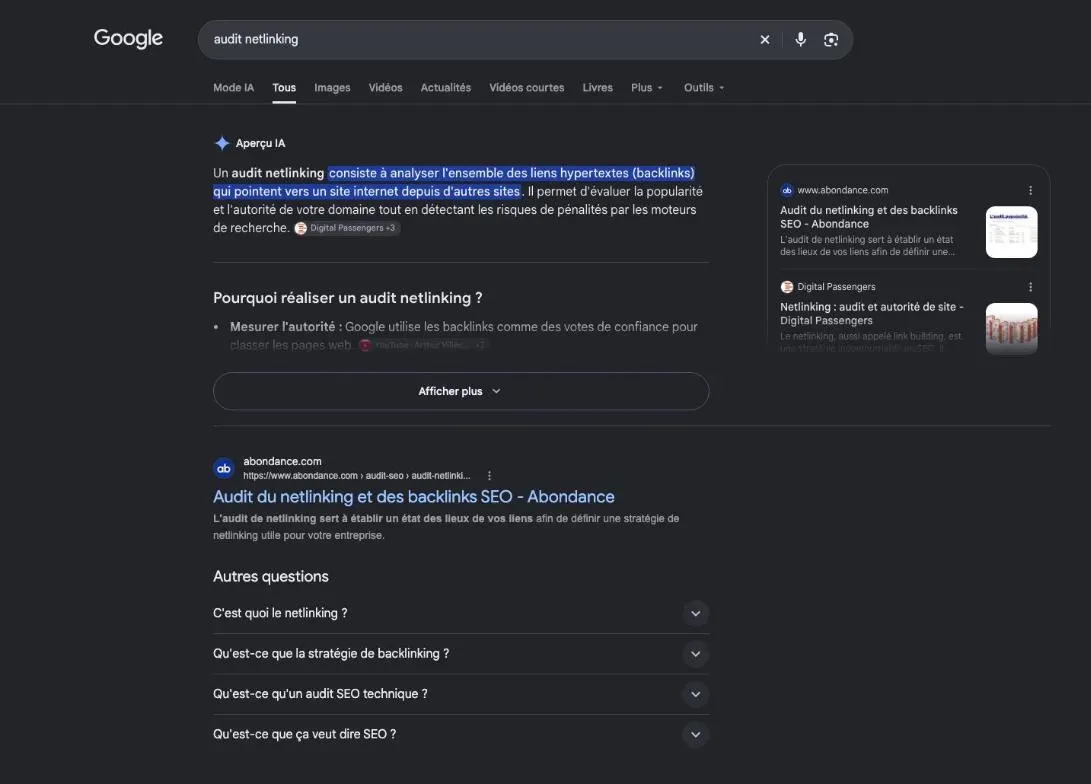 Résultats de Google pour la recherche « audit netlinking »