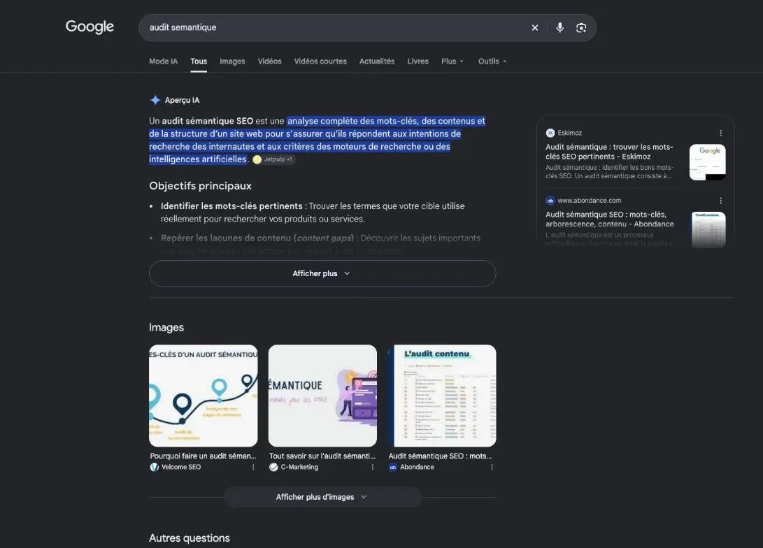 Première page de Google pour la recherche sur l'audit sémantique d'un site