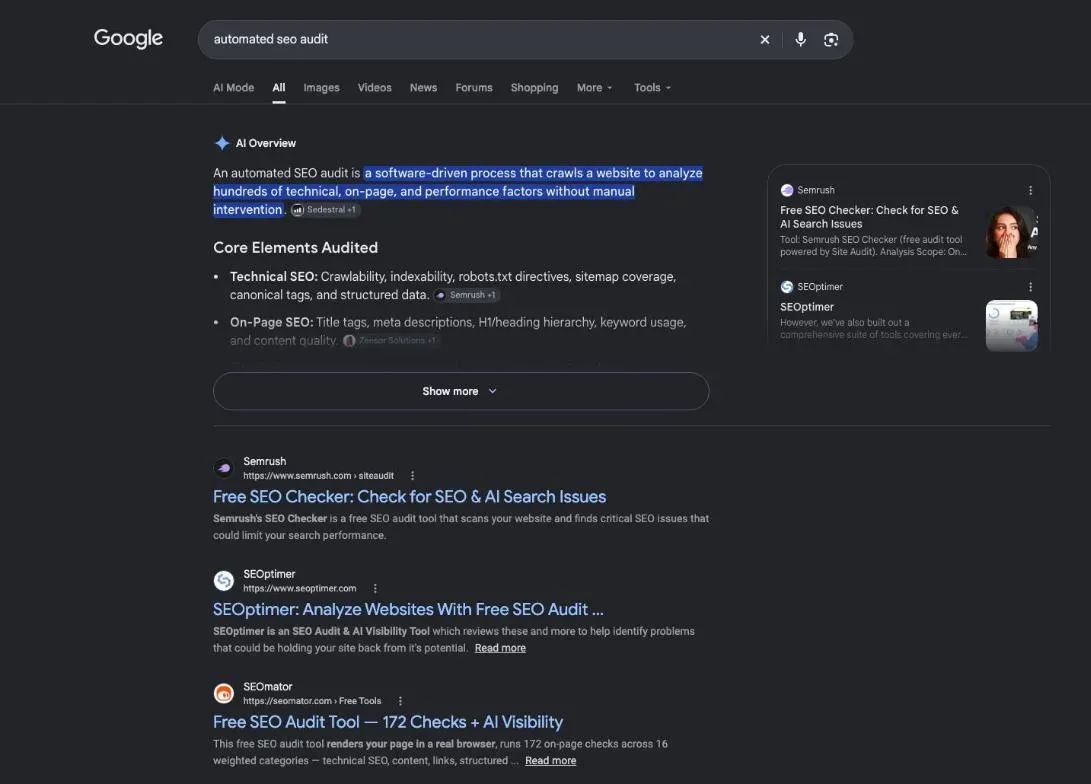Google results for the search "automated seo audit"