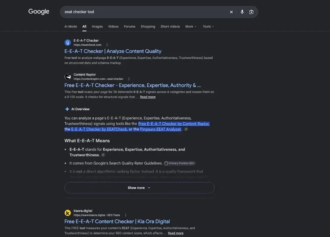 Google results for the search "eeat checker tool"
