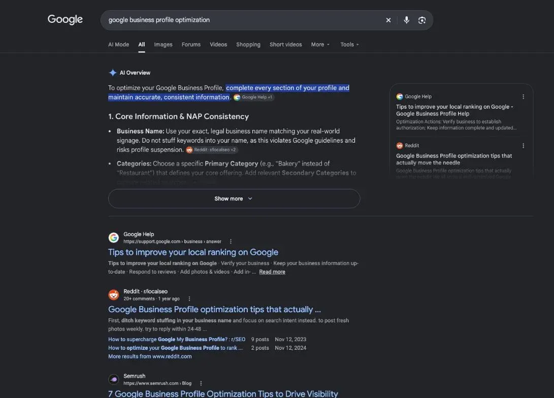 Google results for the search "google business profile optimization"