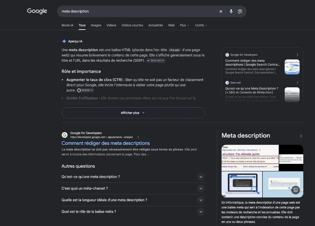 Résultats de Google pour la recherche « meta description »