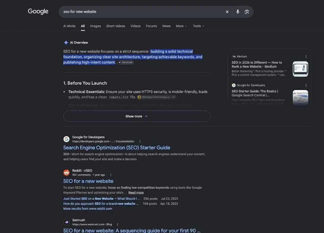 Google results for the search "seo for new website"