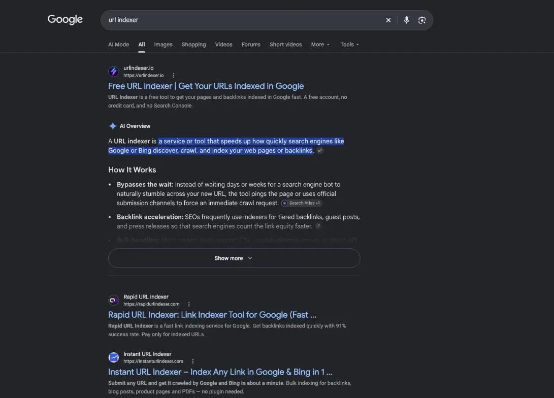 Google results for the search "url indexer"
