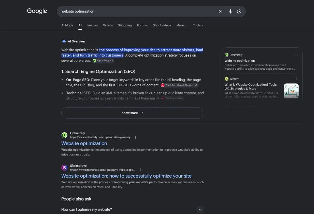 Google results for the search "website optimization"