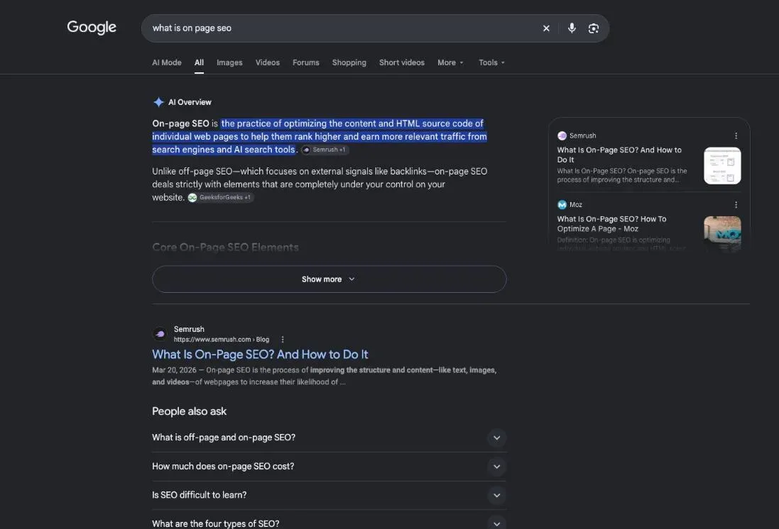 Google results for the search "what is on page seo"