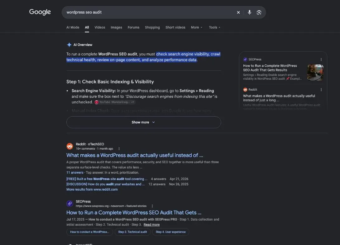 Google results for the search "wordpress seo audit"
